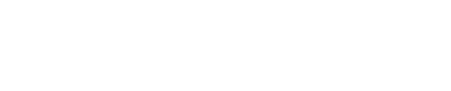 Dalmark Solutions LLC